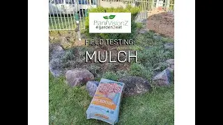 Field testing: Microchip mulch by ORECO
