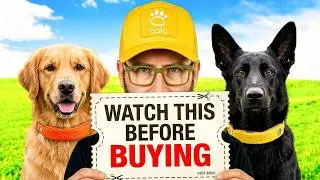 Halo Collar Coupon Code (Always Updated)