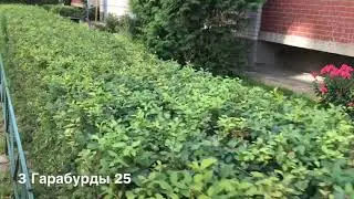 3 Гарабурды 25 @fastrent67
