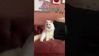 Show your pet and what you named them after!