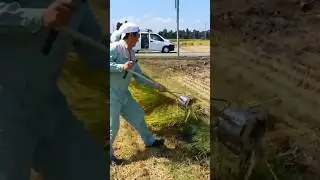 Manual Paddy Rice Harvester Karitori-Kun Made in Japan #shorts #agrimachinery