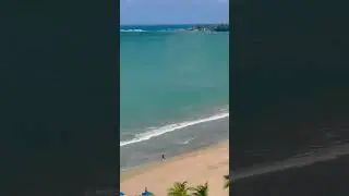 Beach lovers