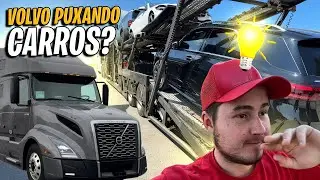 SERA QUE VAI DAR NEGÓCIO NESSA CEGONHA PARA O VOLVAO