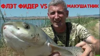 ФЛЭТ ФИДЕР VS МАКУШАТНИК. ВАШИ СТАВКИ ГОСПОДА #флэтфидер #флэтметод #рыбалка