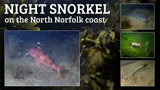 Night Snorkel at Sheringham on the North Norfolk coast
