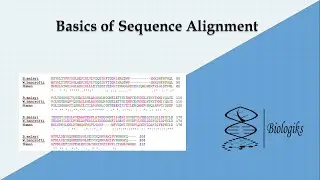 Basics of Sequence Alignment 