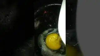 🥚⏳ Can Farm Fresh Eggs Stay On Counter? - Out Of Fridge? Day 30 (Part 1 of 3) #EggExperiment #2024