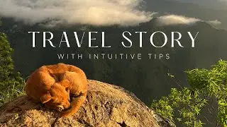 Tips from Recent Intuitive Readings