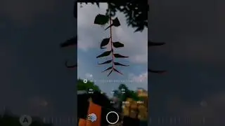 how to click amazing macro photography 😮🍁. wait for results.