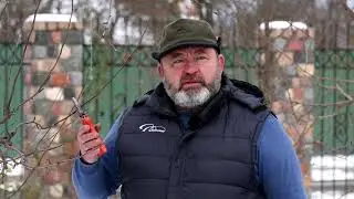 Свой красивый плодовый сад