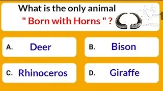 @intelligenceonline7050 ..What is the only animal 