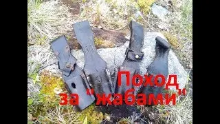 Коп по войне. Поход за жабами. Кольский 2018.