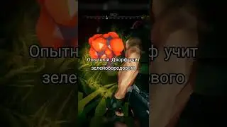 Не стоит гладить бомбу / Deep Rock Galactic