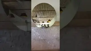 Пробуем самый лучший кофе в Мексике
