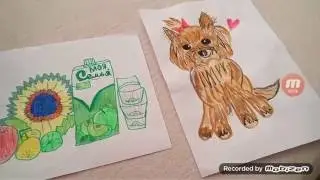 Рисунки 2#