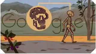 Turkana Human Google Doodle (Turkana Boy Facts)