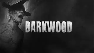Darkwood / Дрожим от страха и пытаемся выжить в лесу