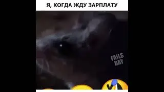 Я, когда жду зарплату.