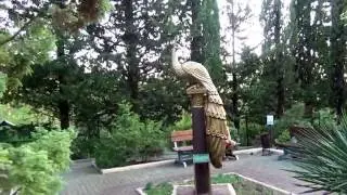 Zeleniy guy resort Tuapse district -- p. Dederkoy, Krasnodar region