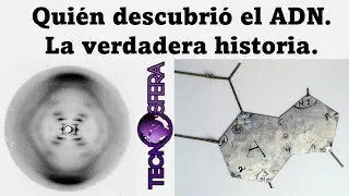 Quién descubrió el ADN. La verdadera historia.