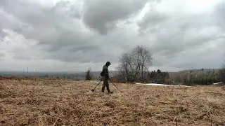 Вот что значит - весна... 