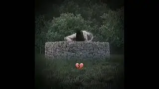 И съебал🥶