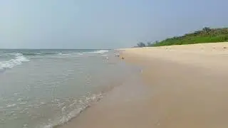 disturbing (harmless)🐦 birds on Beach 🐚