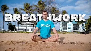Why you should start Breathwork TODAY!