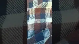 жук тоже человек