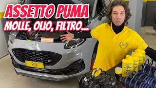 MOLLE SPORTIVE, OLIO MOTORE, FILTRO SPORTIVO. I LAVORI CONTINUANO, MANCA SEMPRE MENO AL TEST FINALE!
