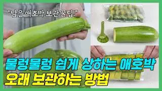 애호박 신선하게, 오래 보관하는 방법! 냉장, 냉동, 남은 호박 보관법까지