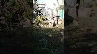 Метание ножа. Многооборотная техника метания ножей.