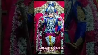 முருகன் உங்களை கூப்பிடுவார்🐓ஓம் முருகா 🐓ஓம் சரவண பவ #trending #shorts #short #viral #video #tamil