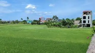 Hoi An's Rice Fields at the NGHE Rice Paddy Cafe (2024)