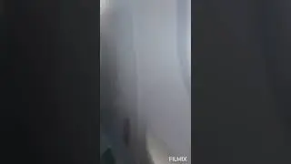 Чем кормят в 