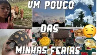 UM DIA COMIGO- SERGIPE