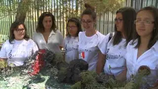 I giovani siciliani ricordano gli eventi