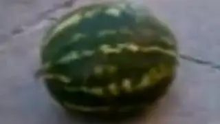 Арбуз Арбуз Привет