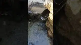 Источник с живой водой!