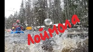 Лоймола 2022