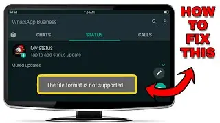 this file format is not supported whatsapp
