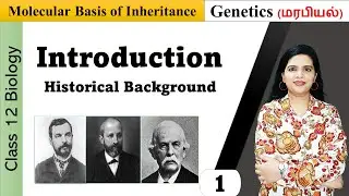 Molecular Basis of Inheritance - Introduction | NCERT Class 12 Biology
