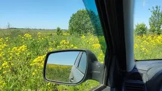 Островок в поле и куча металлолома на китайский металлоискатель ТХ-850