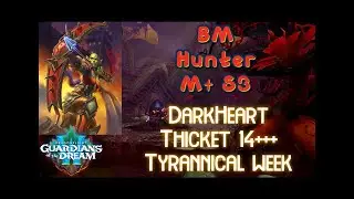 BM Hunter - Season 3 M+ - Darkheart  Thicket 14 - Tyrannical week
