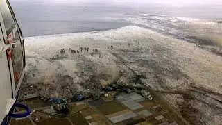 Why do Tsunamis Mainly occurs in Japan?