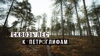 Большое путешествие на Бесов нос. Онежские петроглифы. Карелия