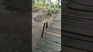 jembatan