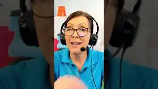 Top Pet Hair Remover Tool 