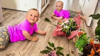 Николь и Доминика РАЗГРОМИЛИ ДОМ. День Рождение Лены Крейзи Лайф