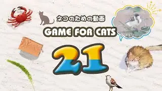 【猫用動画MIX21】カニ・ヒモなど 1時間 GAME FOR CATS 21